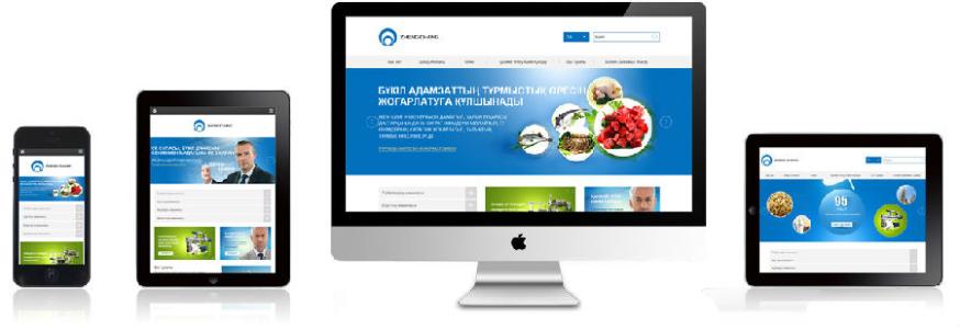 中聯(lián)科技移動(dòng)端手機(jī)網(wǎng)站設(shè)計(jì)開發(fā)解決方案